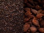 Café y cacao