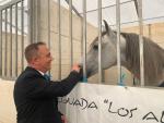 La Regi&oacute;n exhibe en la Feria del Caballo de Lorca su apuesta por el sector del ganado equino