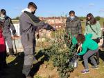 Salamanca suma un nuevo espacio verde con 700 árboles y arbustos entre Chamberí y Vistahermosa