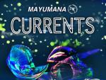 El Liceo de Salamanca acogerá los días 3 y 4 de enero el espectáculo 'Currents' de Mayumana
