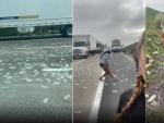 Varias personas recogen dinero que ha caído de un camión blindado en una carretera de California (EE UU).