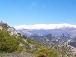 Vista Panorámica de Sierra Nevada desde la Silleta del Padul.