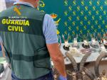 La Guardia Civil desarticula a una trama de cazadores furtivo