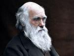 Charles Darwin formul&oacute; la teor&iacute;a de la evoluci&oacute;n por selecci&oacute;n natural.