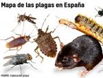 Mapa de las principales plagas en España.