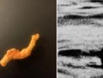 El supuesto cheeto con forma de monstruo del lago Ness y una de las fotos más famosas del mito.