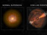 Ilustración que compara una supernova normal con una supernova 'vaca'.
BILL SAXTON, NRAO/AUI/NSF
11/1/2022