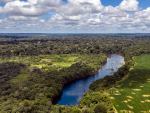 Selva amazónica en la zona de Pará