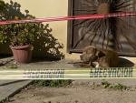 El perro que supuestamente pertenecía a la periodista mexicana asesinada en Tijuana Lourdes Maldonado, junto a la casa de la informadora fallecida.