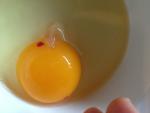Huevo con clara roja o un punto de sangre.