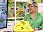 Terelu Campos, emocionada en 'S&aacute;lvame Lemon Tea'