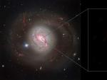 Un agujero negro supermasivo en el centro de la cercana galaxia Messier 77