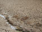En Espa&ntilde;a, el 75% del suelo sufre riesgo de desertificaci&oacute;n por la falta de agua.