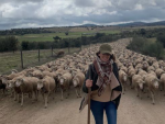 Mar&iacute;a del Camino con sus ovejas merinas.