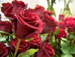 Previsi&oacute;n de la venta de rosas en Mercabarna-flor para Sant Jordi 2022