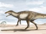 Reconstrucci&oacute;n del dinosaurio megarapt&oacute;rido cuyos restos fueron hallados en la provincia argentina de Santa Cruz.
