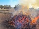 Los municipios con planes y ordenanzas de quemas podr&aacute;n mantener el uso del fuego para eliminar los restos agr&iacute;colas