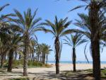 Playa El Pinar de Castell&oacute;n