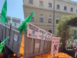 Aigua.- Regant i agricultors reivindiquen a Alacant el Tajo-Segura: &quot;Defenguem l'horta d'Europa&quot;