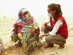 La reina Letizia ha aprovechado su viaje de cooperaci&oacute;n a Mauritania para visitar los huertos en el desierto plantados hace un mes en el proyecto Huertos en Nuakchot. Pese a que ha sido sorprendida por una tormenta de arena, do&ntilde;a Letizia, ataviada con mascarilla y gafas de sol, ha podido adentrarse en algunos de los huertos para conocerlos, mientras los agricultores se afanaban por proteger los cultivos.