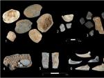 Restos de moluscos (1-3), peces (4) y crust&aacute;ceos (5-6) en Cueva Victoria (M&aacute;laga)