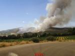 Columna de humo provocada por el incendio que se ha declarado este mi&eacute;rcoles en Baldomar, en Artesa de Segre (Lleida).