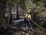 Un bombero remoja el terreno quemado por el incendio de Castellar de la Ribera.