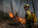 Un bombero trabaja en la extinci&oacute;n del incendio en la Sierra Culebra, en Zamora, el 16 de junio de 2022.