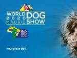 World Dog Show: el evento canino m&aacute;s grande del mundo para disfrutar en familia.