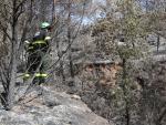 Efectivos de Agents Rurals catalanes inspeccionando la zona en la que comenz&oacute; el incendio forestal de Baldomar (Lleida).