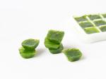 Cubos congelados de verduras de hojas verdes