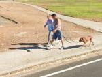 Encuentran un perro con seis patas en Google Maps.