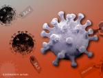 Ilustraci&oacute;n inspirada en la subvariante BA.2.75 del coronavirus SARS-CoV-2.
