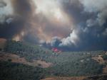 Incendio forestal en Zaragoza, iniciado en el municipio de Ateca, y que se se extendi&oacute; al de Moros.