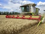 Una cosechadora recoge trigo en un campo a unos 25 kil&oacute;metros de la l&iacute;nea del frente en la regi&oacute;n de Chuhuiv del &aacute;rea de J&aacute;rkov, Ucrania.