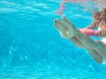 Cu&aacute;les son los deportes que se pueden practicar en el agua durante el verano