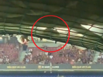 La imagen de la pol&eacute;mica: ratas en el Camp Nou.
