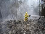 Un bombero BRIF enfr&iacute;a los rescoldos en un fuego en Cantabria.