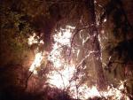 Incendio forestal en Benatae, Ja&eacute;n, declarado el 23 de agosto de 2022.