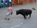 El Ayuntamiento de Alc&agrave;sser investiga la muerte de dos toros durante la semana taurina