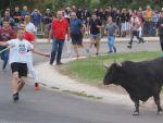Un toro y corredores durante un encierro por las calles de Tordesillas, a 13 de septiembre de 2022, en Tordesillas, Valladolid, Castilla y Le&oacute;n (Espa&ntilde;a).