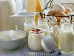 Imagen de varios l&aacute;cteos: yogures, queso, leche