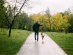 Los paseos de tu mascota pueden ser mucho m&aacute;s seguros si usas un rastreador por si se pierde.