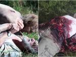 Muerte de Dale en 'The Walking Dead'