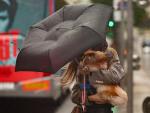 Una mujer con un perro intenta controlar y protegerse con un paraguas, en Madrid.