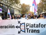Cabecera de la manifestaci&oacute;n a favor de las personas trans en Madrid.