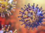 Después de padecer la varicela, hay riesgo de tener un herpes zóster.