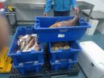 Intervienen m&aacute;s de 100 kilogramos de pescado en una embarcaci&oacute;n deportiva en Corralejo (Fuerteventura)