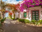 El color de las buganvillas florecidas resalta a&uacute;n m&aacute;s frente las paredes blancas como la nieve de las casas de Puerto de Mog&aacute;n. Sin duda, es un destino perfecto para visitar en las Canarias esta primavera.