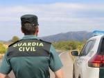 Un agente de la Guardia Civil junto a un veh&iacute;culo en una carretera.